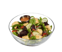 Spring mix, onions, sesame seeds, red bell peppers & cucumbers topped with a sesame ginger dressing & fried tofu